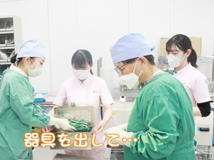 ☆去勢手術実習☆